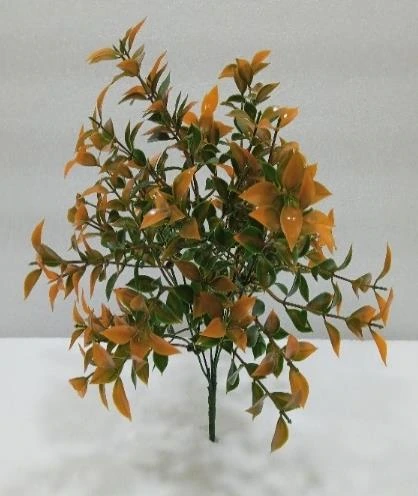 Ruscus Hoya Bella Leaf Bunch x25